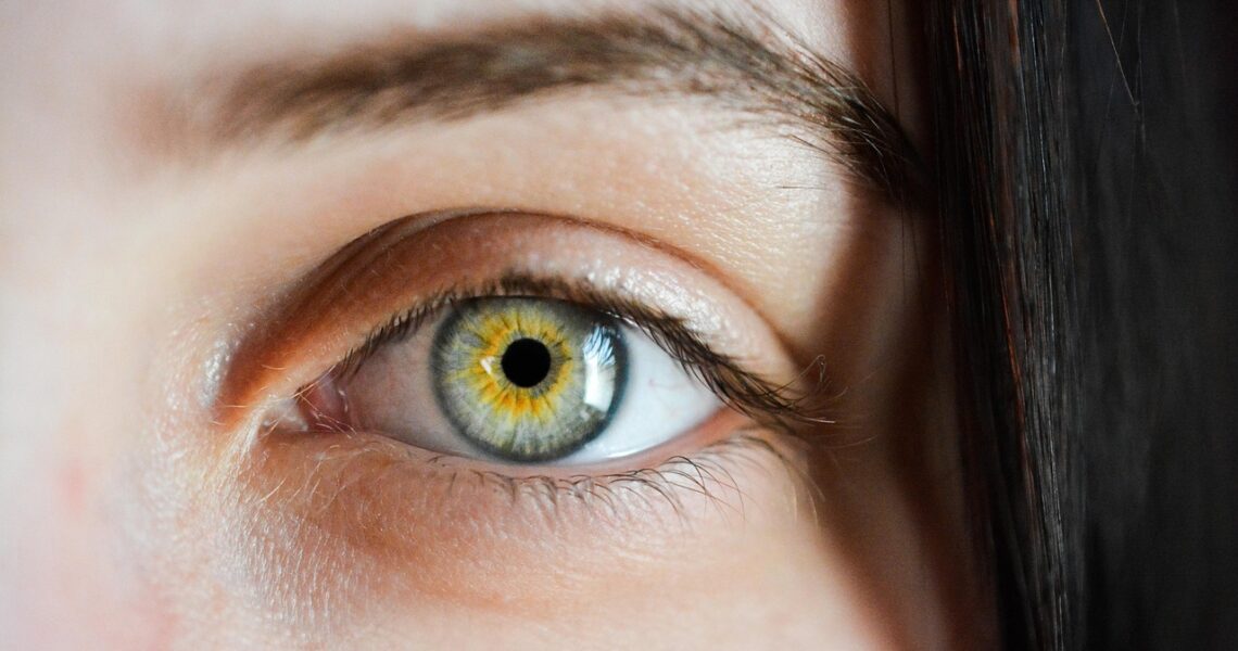 eye, iris, macro, natural, girl, eyebrows, detailed, green, brown, view, sight, human, face, vision, focus, eye, eye, eye, eye, eye